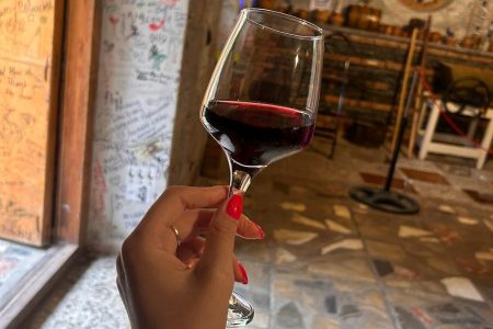 Wine tasting and Food Masterclass