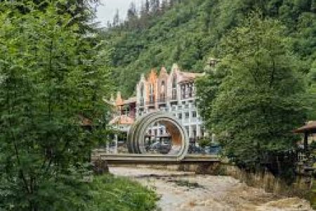 Gori Borjomi Tour